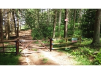 Tyndale Wood - SOLD