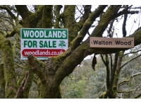 Walton Wood, Neilston - SOLD