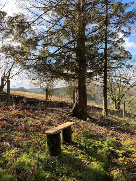 Corbett Wood Bench with view 