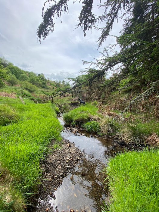 Corbett Wood Particulars