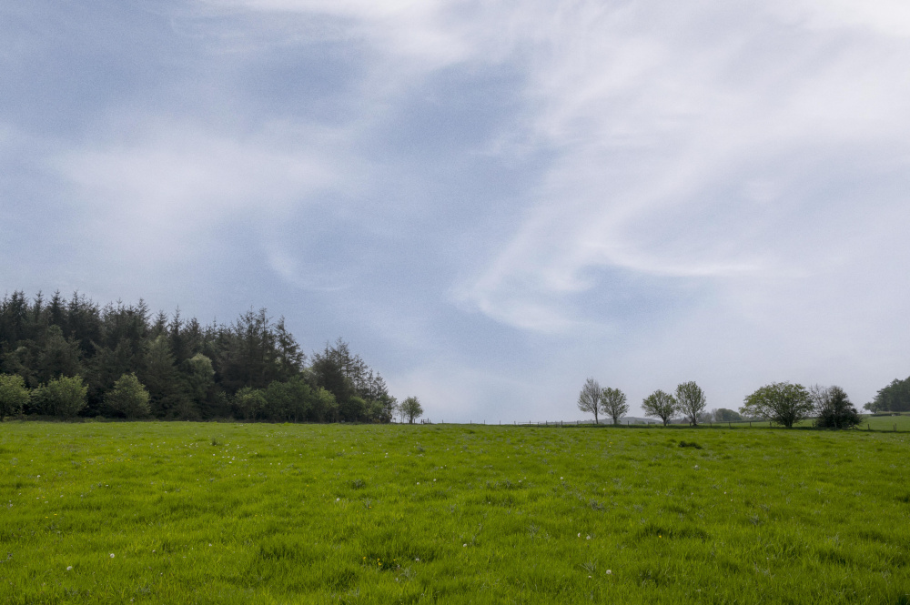 South across Hill View Meadow