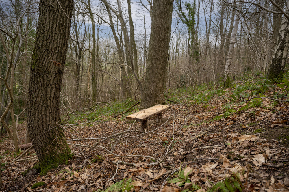 Hidden bench