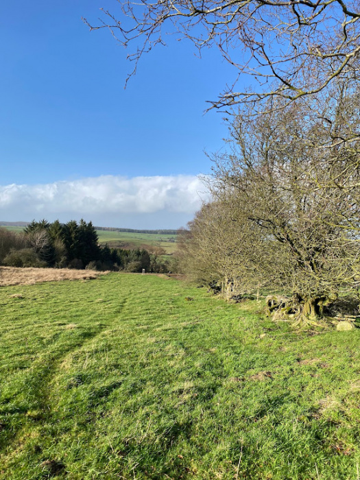 Boundary from top of Shelve View