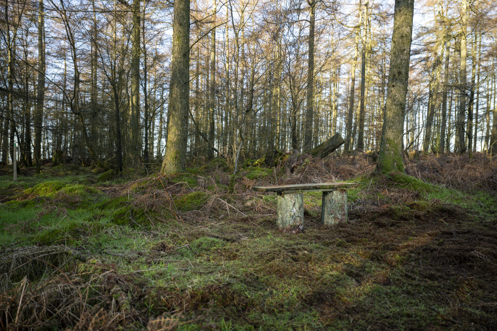 Bench in a clearing - check out the views to Nipstone Park