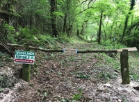 Allt Y Castell