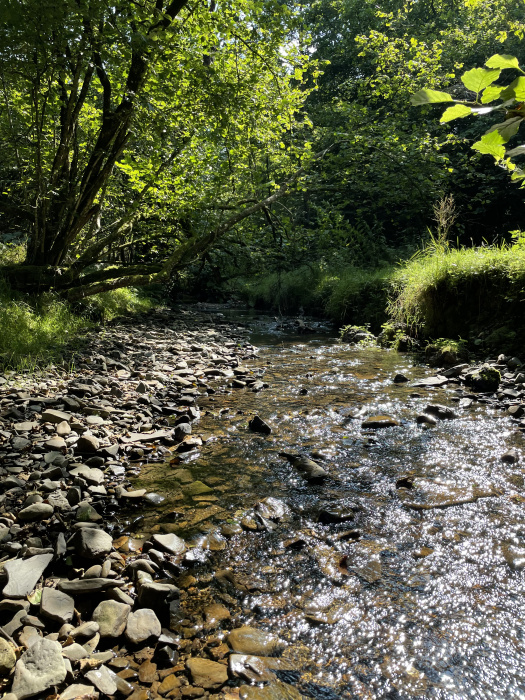 Deuddwr Brook - a substantial fast flowing stream