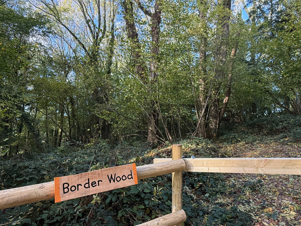 Welcome to Border Wood