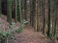 Bryn Glas - SOLD