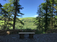 Coed Cyneiniog - SOLD