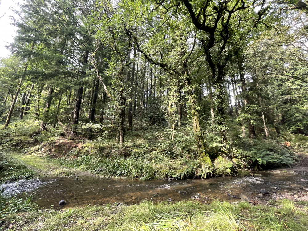 River that just borders the eastern boundary  