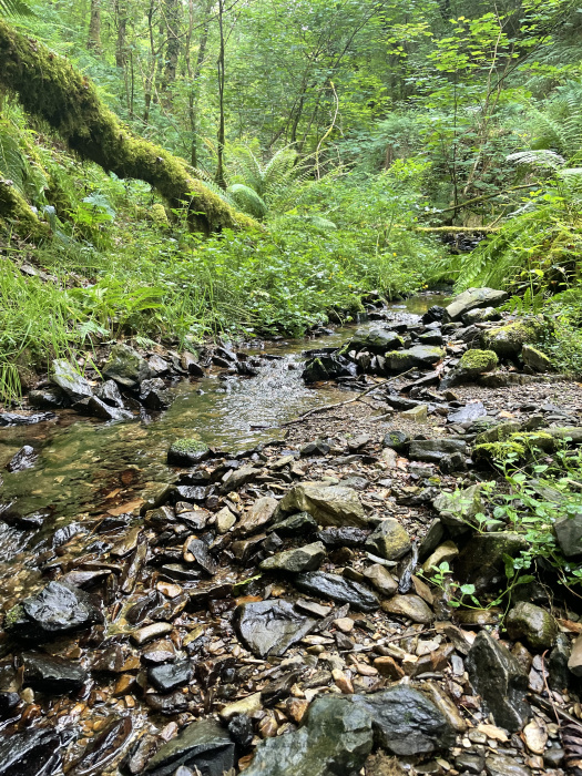 Nant Cwm-tawel