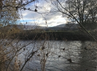 Coed Glangrwyney - SOLD