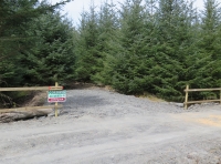 Coed Hedd - Peace Wood - SOLD