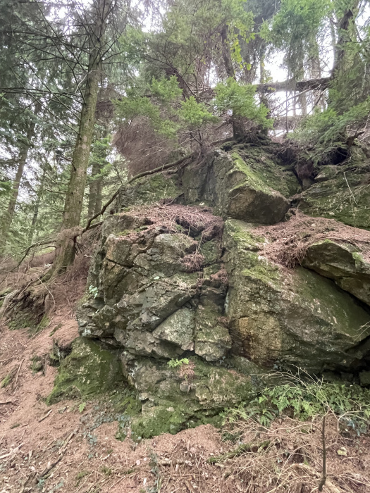 Rock formation in western sector of the woodland