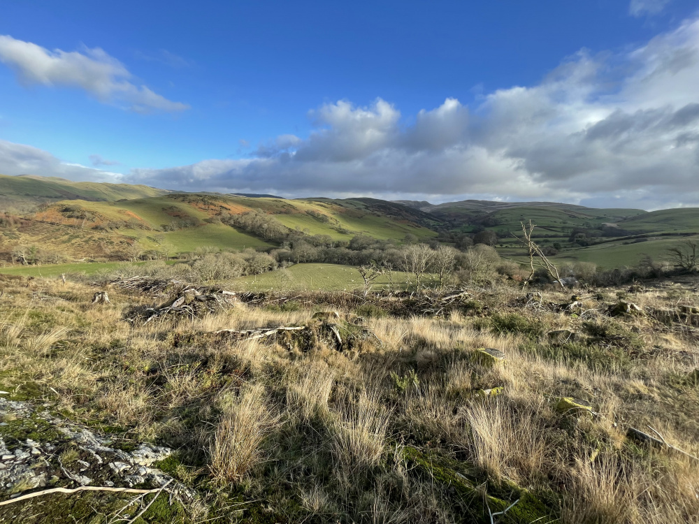 Stunning view out from the western boundary looking eastwards