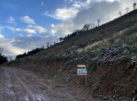 Coed Llanellen (Llanellen Wood) - SOLD