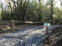 Coed Llwyngwern (Alder Grove)