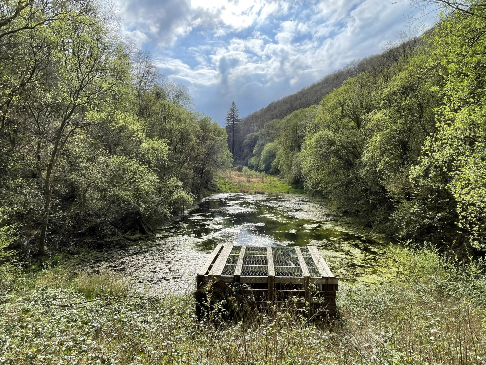 The old reservoir and sluice housing