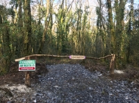 Coed Nant Y Gro (Gravel Stream Wood) - SOLD