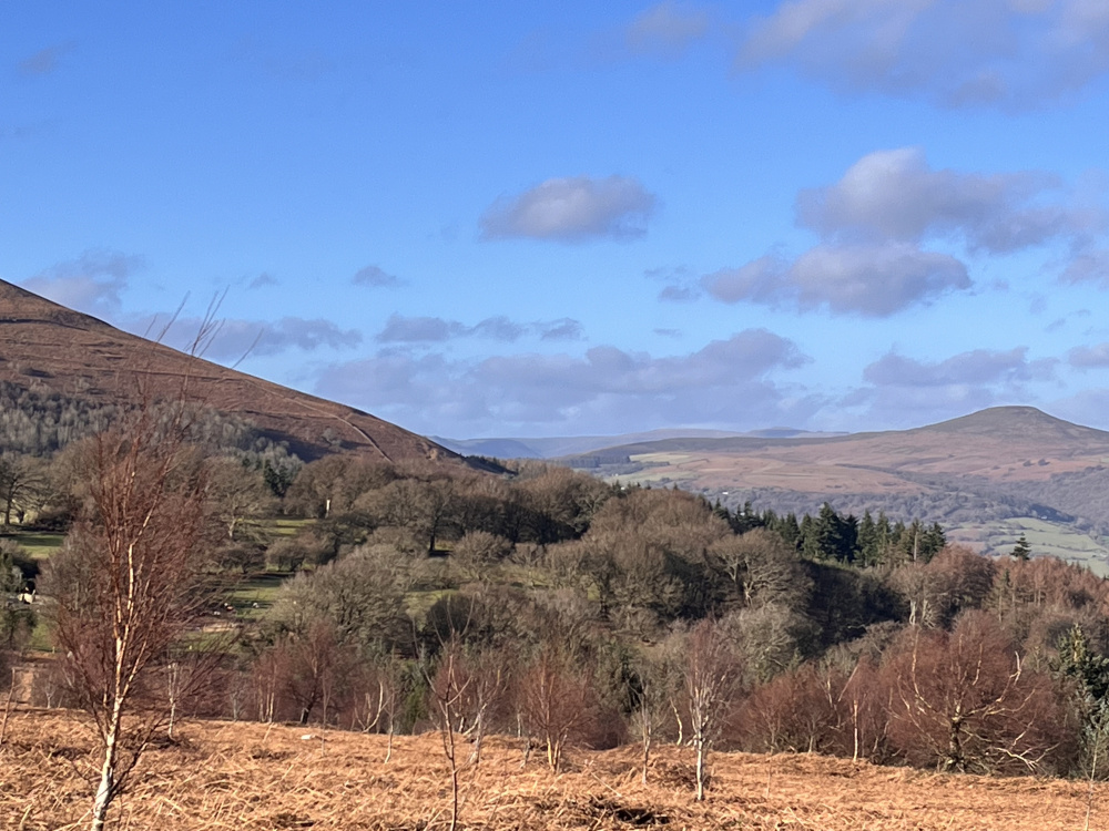 View north from the higher ground of Coed Odyn