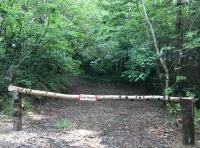 Coed Pengam (Crooked Head Wood) - SOLD