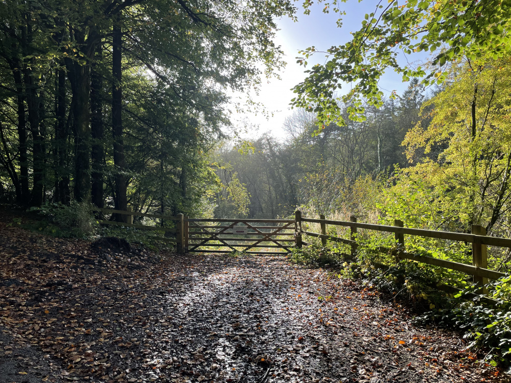 Main entrance gate to Allt y Hendre. Please park up here.