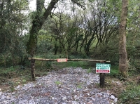 Coed Spwdwr (Spwdwr Wood)