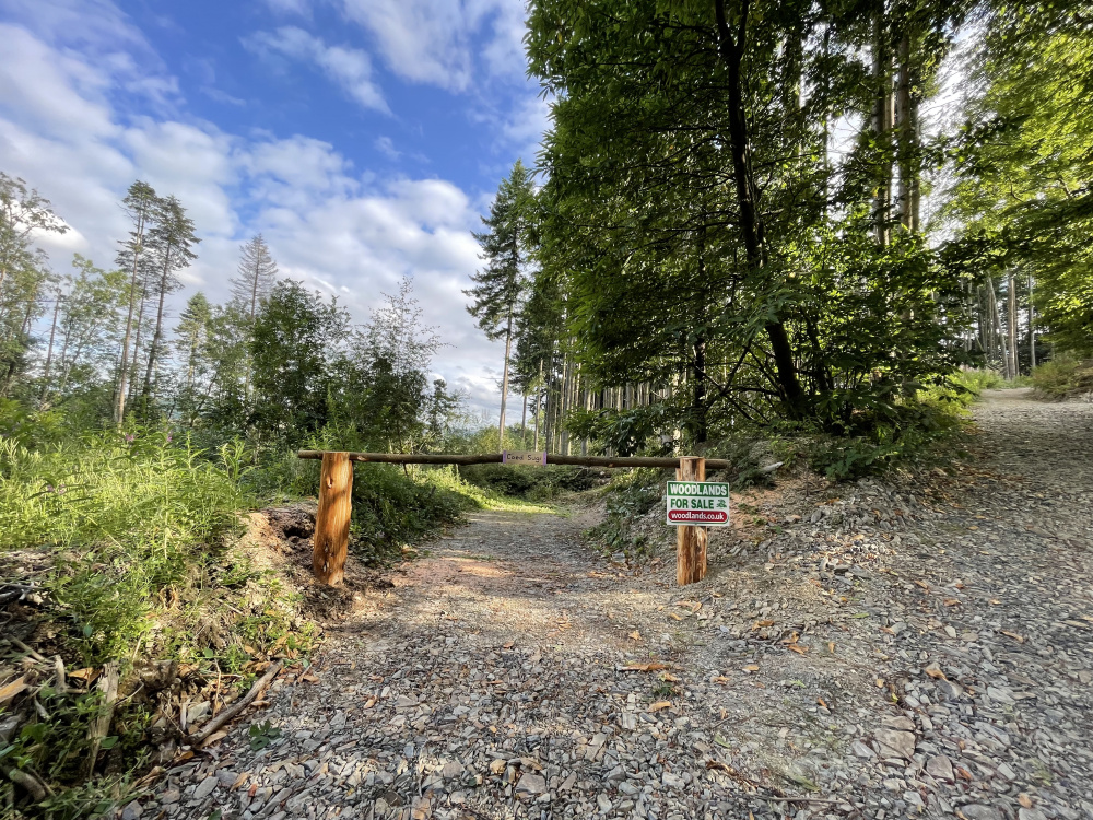 Ride stop entrance and parking spot for Coed Sugi