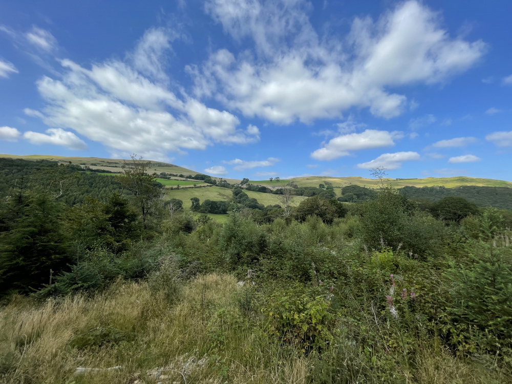 Stunning view out north from the clearing in the northern tip of the wood