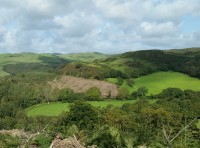 Coed Y Cnocell - Woodpecker Wood - SOLD