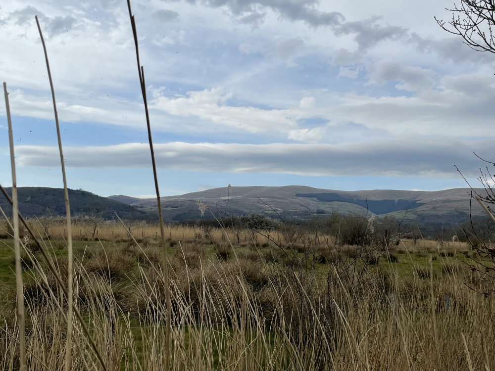 View out from the western boundary 