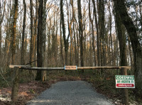 Hondy Wood