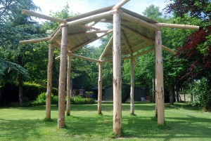 A wooden summerhouse: part 3, a green roof.