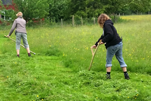 Scythe training