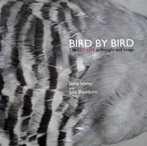 "Bird by Bird" - about the threats to wild birds