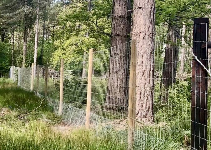 deer fence