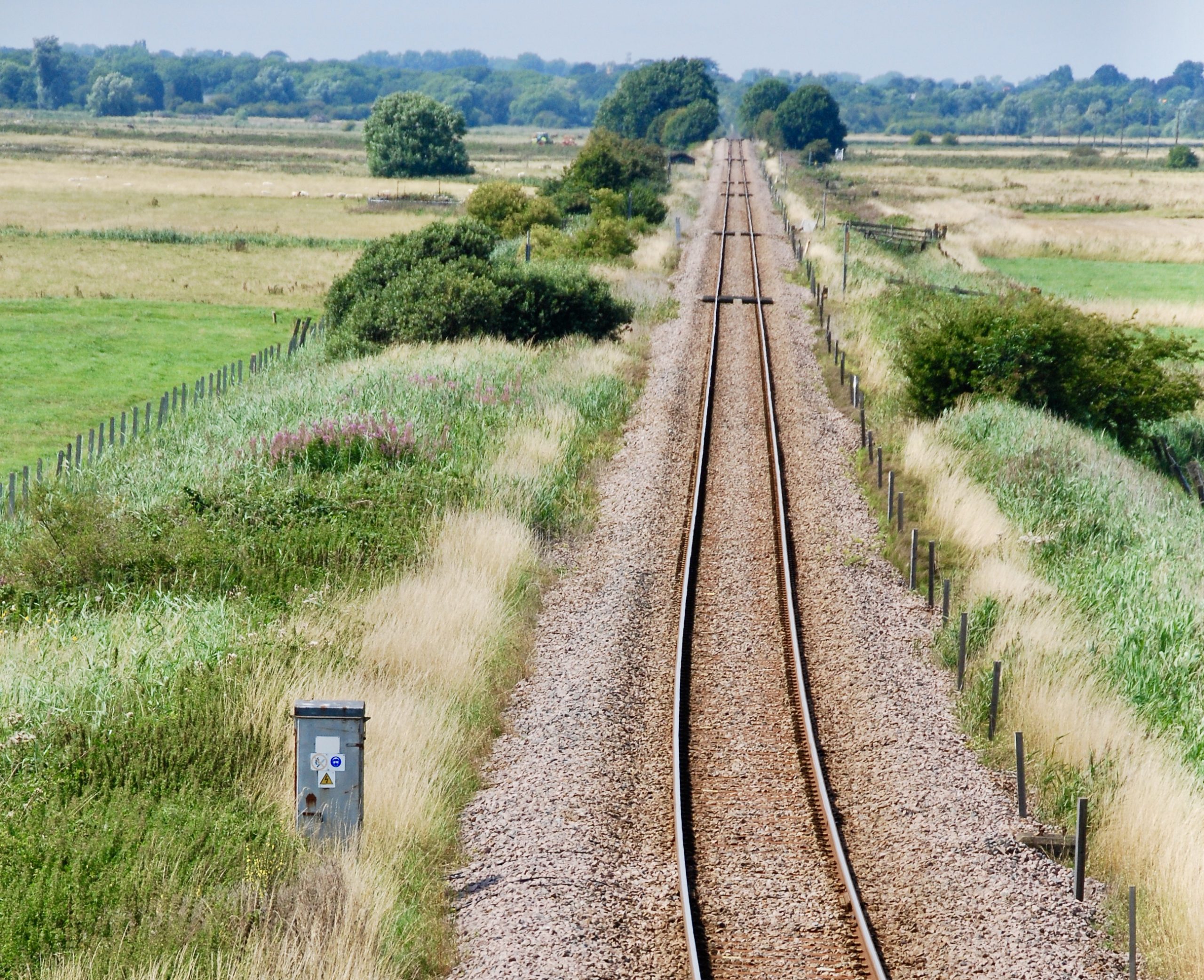 railway lines act as biological corridors