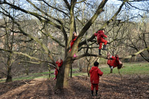 A School in the Forest?