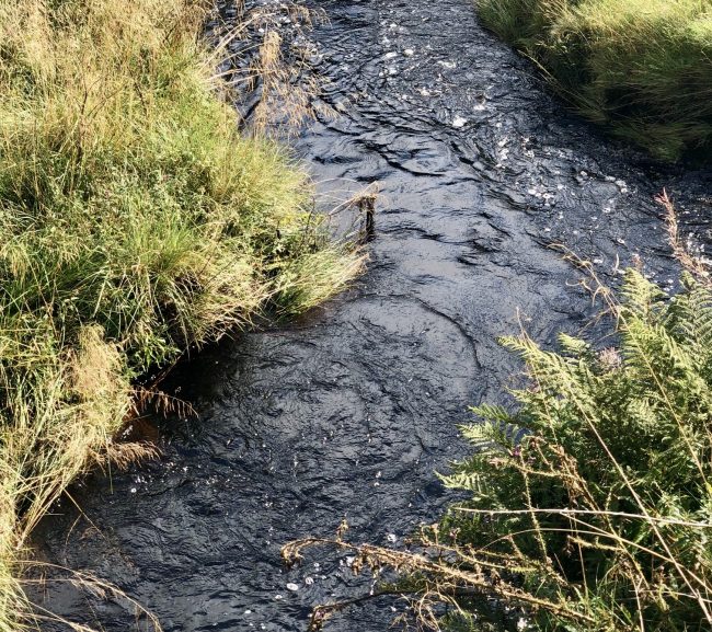 moorland stream