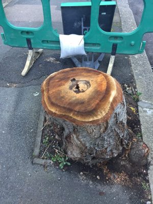 Sheffield - the battleground for those who care about street trees and woodlands