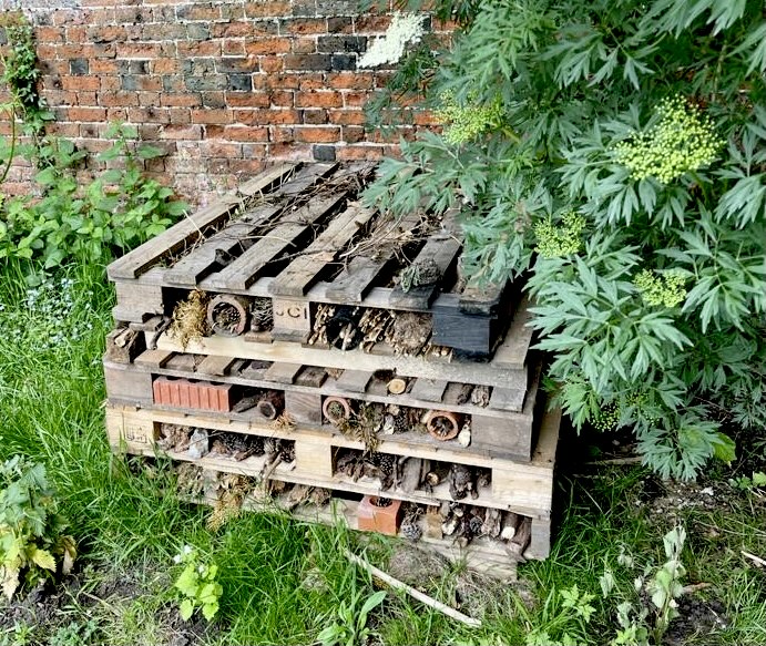 bug hotel