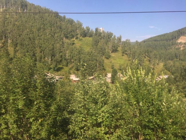 woodland and forest as seen from the Trans Siberian railwa