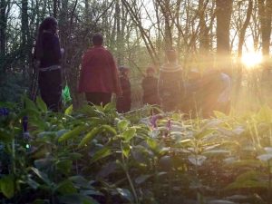 A band of ten wild women in the wood