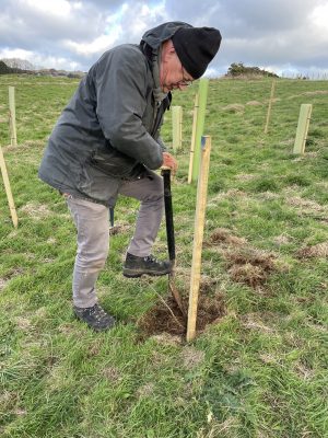 Tree Planting Spades