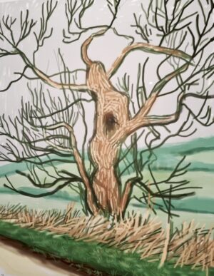 David Hockney and the Trees