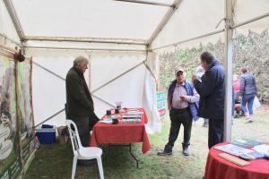 Surrey Hills Wood Fair this weekend (Sat 5th and Sun 6th October 2019)