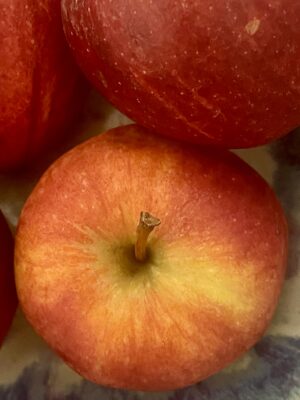 The fall and rise of orchards.