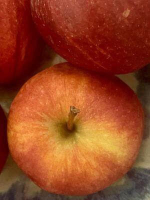 The fall and rise of orchards.