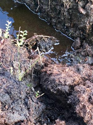 Moorlands, peat and bogs.