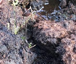 Moorlands, peat and bogs.